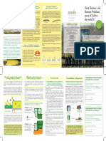 Guia Cultivo Maizbt Anove Campana 2020