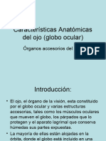 Características Anatómicas Del Ojo (Globo Ocular)