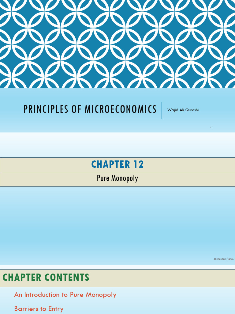 Understanding Pure Monopoly Dynamics | PDF