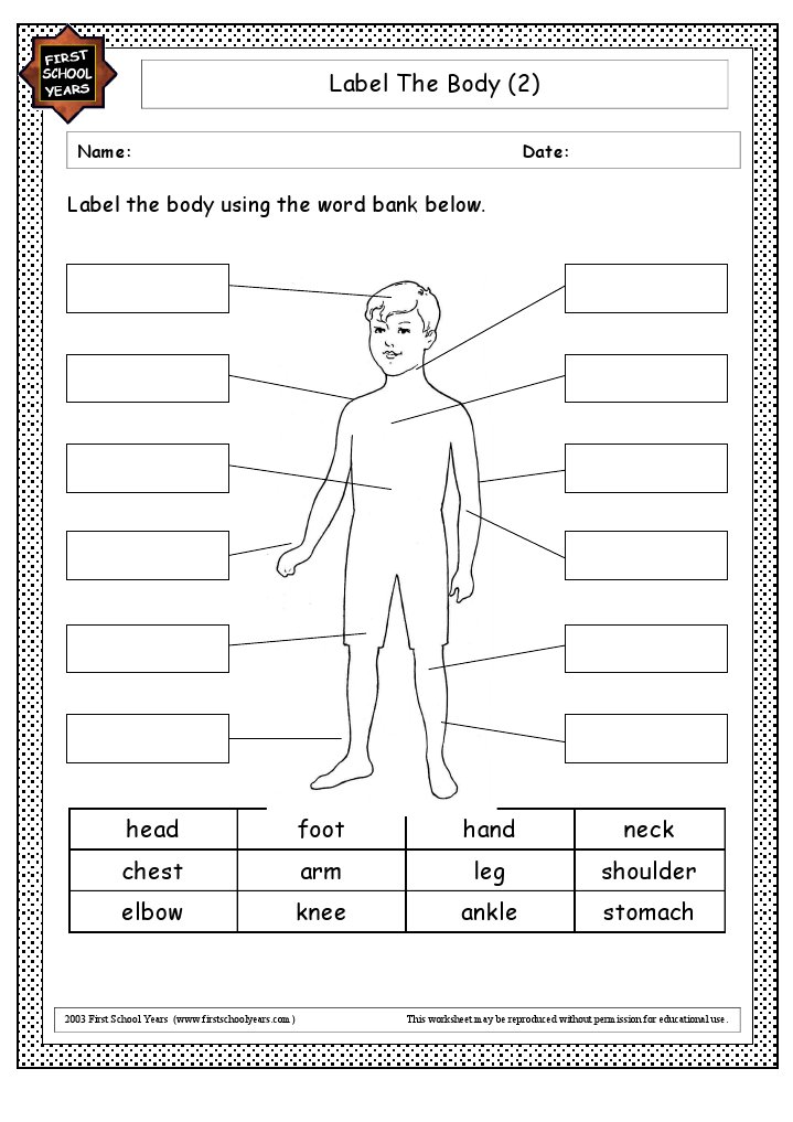 Label The Body Hard | PDF