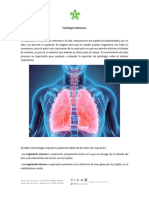 2nnfisiolognnanpulmonar 8265df2cbfb0456