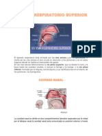 Presentacionesnanatomnnanrespiratoria 3065e2225dcb850