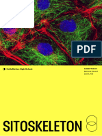 Sitoskeleton - Betrand XI3