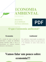 Economia Ambiental 