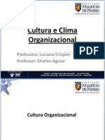 aula_cultura_organizacional