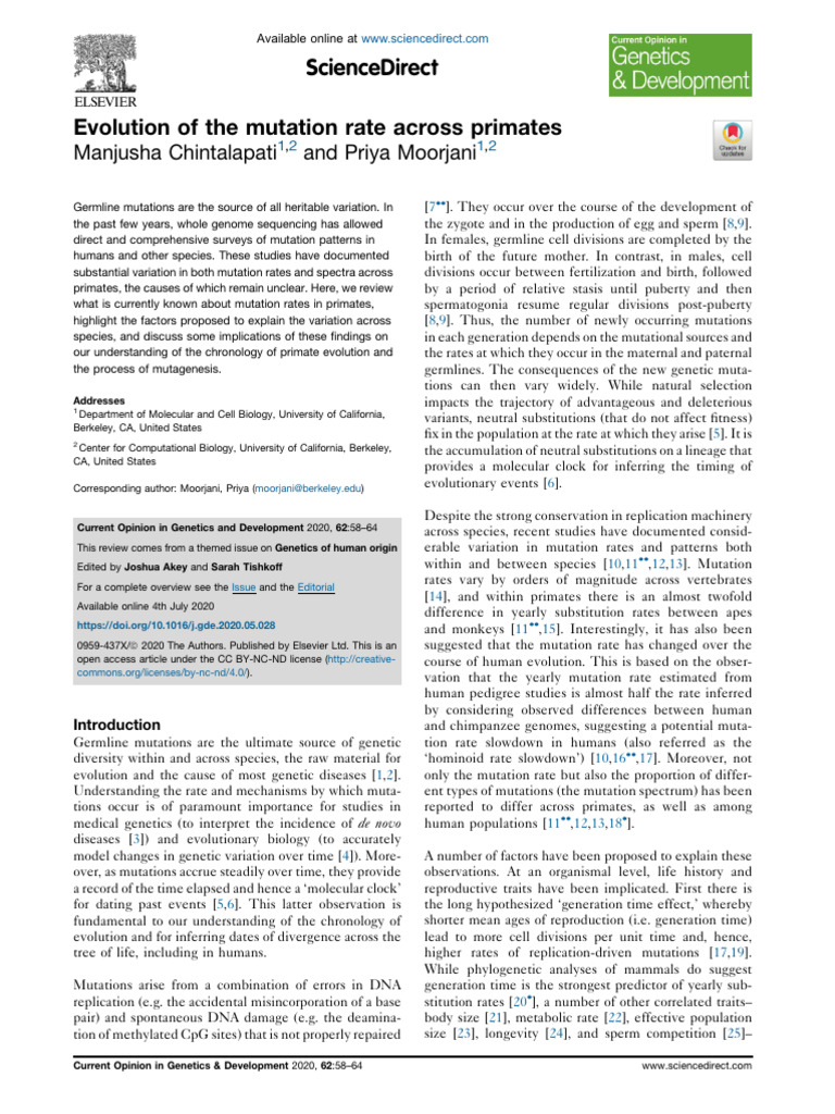 Evolution of The Mutation Rate Across Primates | PDF | Science ...