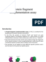 Protein Fragment Complementation Assay