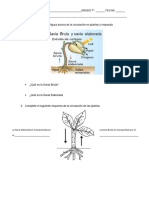 CIRCULACION EN PLANTAS 2024