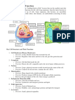 Cell Structure and Function Worksheet