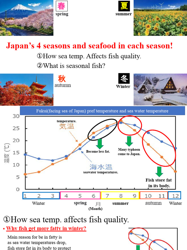 Training Seasonal Fish | PDF