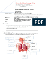 Activity 1 Respiratory System