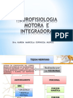 5.6 Neurofisiologia Motora e Integradora