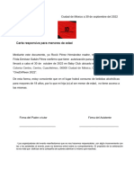 Carta Responsiva - 1deventsmx