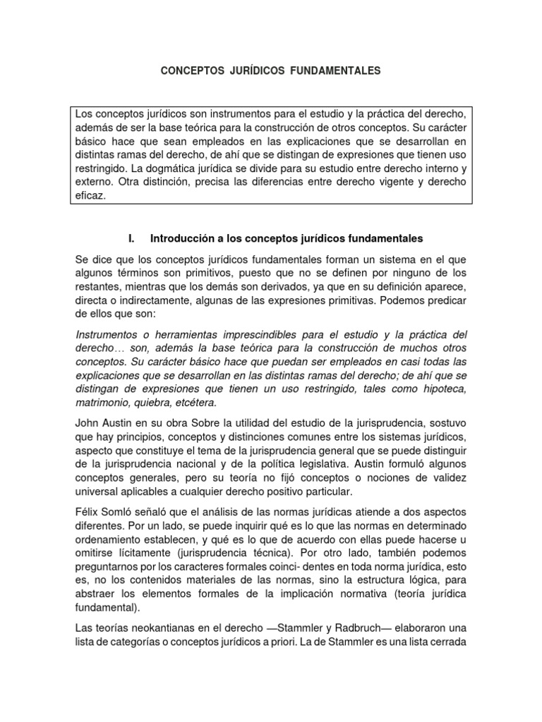 Conceptos Jurídicos Fundamentales | PDF