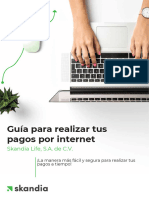 Guia de Pagos Por Internet SKlife