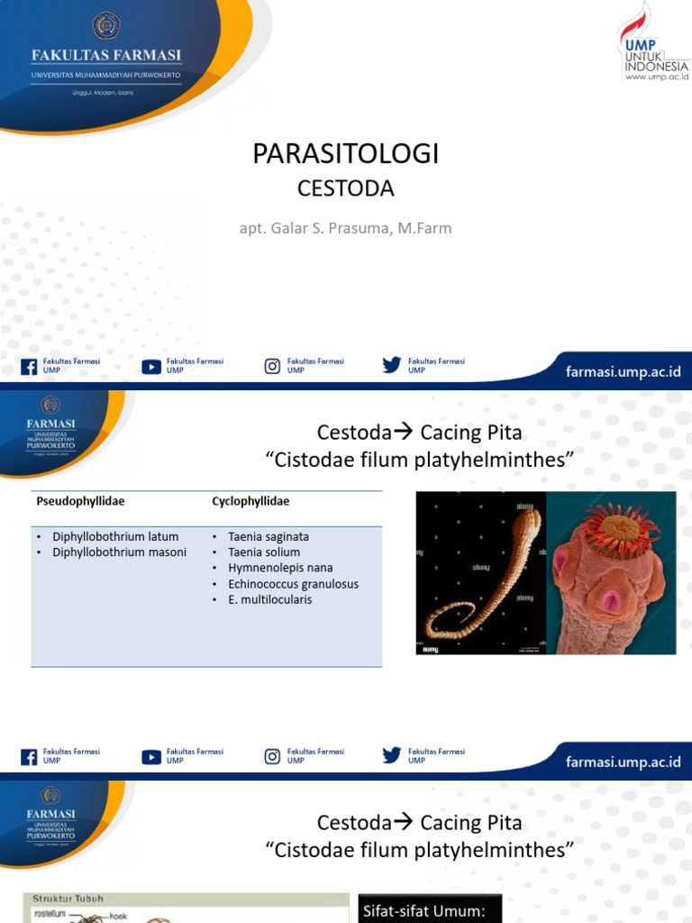 Cestoda | PDF