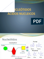 Acidos Nucleicos