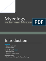 Introduction in Myco Viro