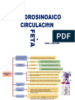 PDF Circulacion Fetal