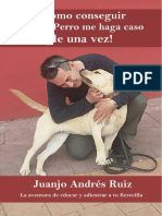 Como Conseguir Que Mi Perro Me Haga Caso de Una Vez 6