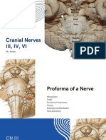 HNF 20 Cranial Nerves III, IV, VI