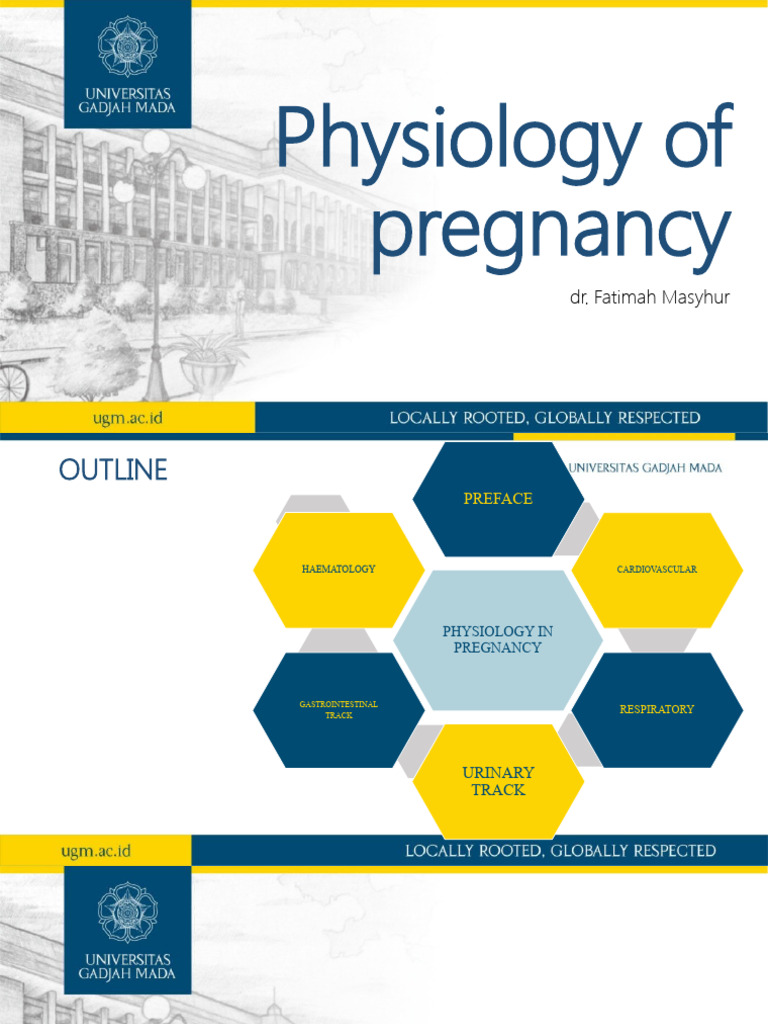 Anatomy visual data 7