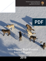2019 Wolf Report - 508