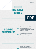 Digestive System