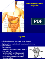 Tápcsatorna