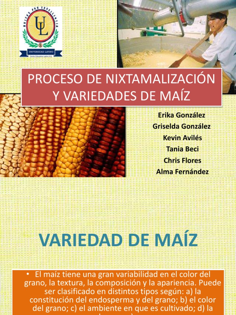 PROCESO DE NIXTAMALIZACIÓN Y VARIEDADES DE MAÍZ | Alimentos | Comida y vino