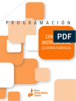 Programación Conjunto Flamenco