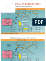 Metabolismo de CH II (Odonto)