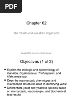 Chapter 62 The Yeasts and Yeastlike Organisms