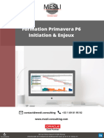 FORMATION PRIMAVERA P6 INITIATION ET ENJEUX 3 Jours