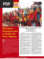 Direitos Indigenas