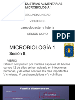 Microbiologia Vibrium