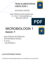 E coli microbiologia 