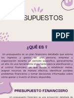 Tipos de Presupuestos