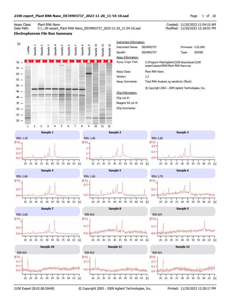 ProtocolJoan 2023 11 20 | PDF