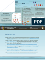 Tipos de Células Madre - Infografía