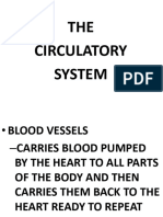 Circulatory System