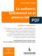 Bruno Oscar Alberto - La audiencia testimonial en el proceso laboral