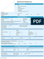 RPT Serums Informefinal Lopez Iparraguirre Final