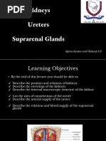 Gerota's Fascia: Anatomy and Imaging Insights | PDF | Kidney | Medical ...