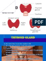 Lecture 4 Thyroid Glands