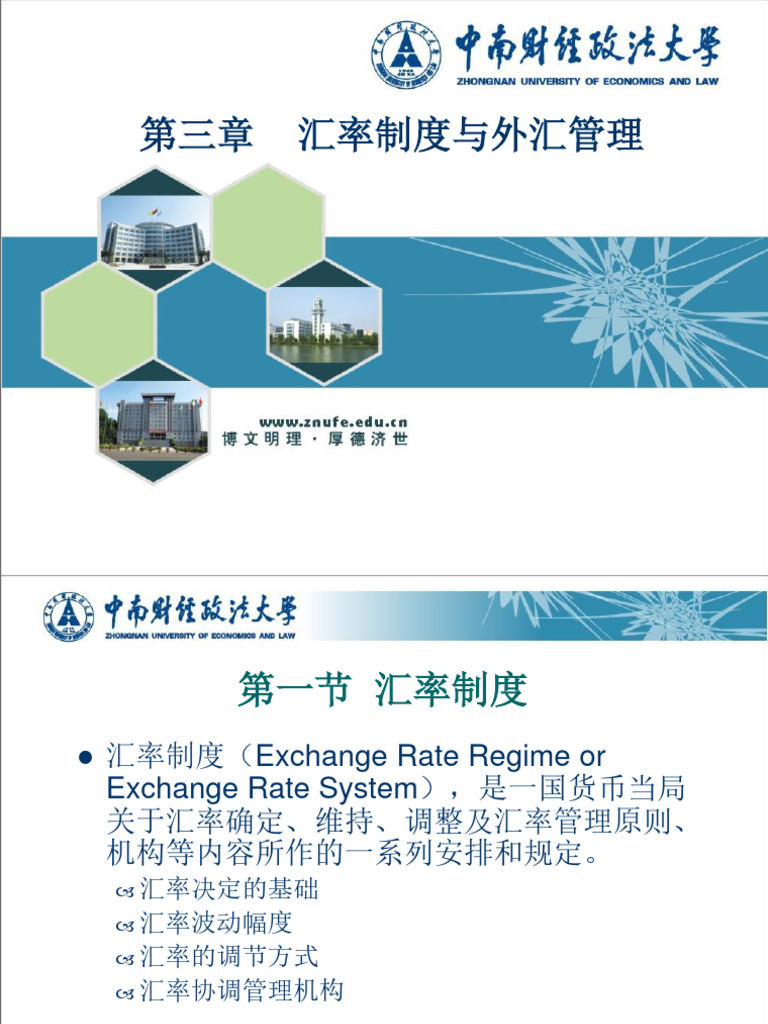 第三章汇率制度与外汇管制| PDF