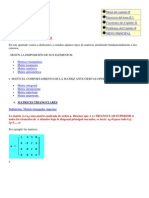 Tipos de Matrices