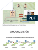 Produccion Biomasa