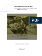 Adriano Arruda Pontes - Rockefeller e o combate à febre amarela