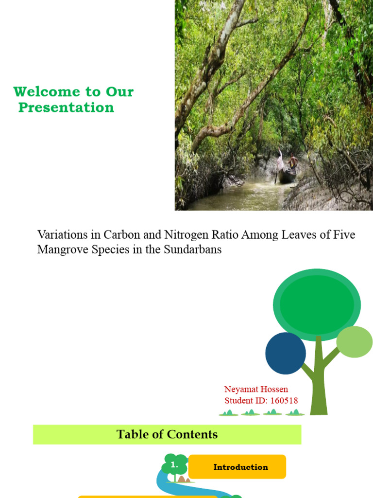 Final Presentation | PDF
